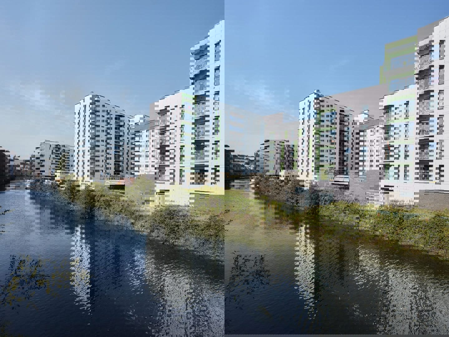 Specialist expertise in building sustainability